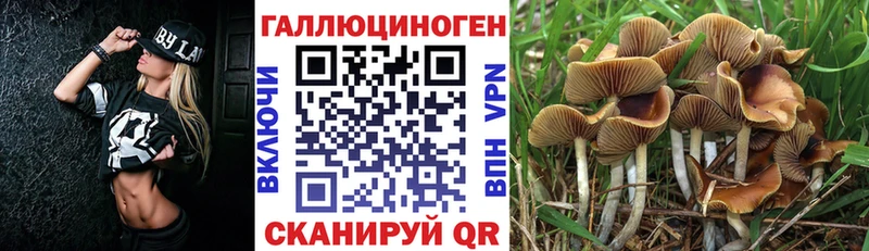 Купить где Новая Ляля Галлюциногенные грибы Magic Shrooms